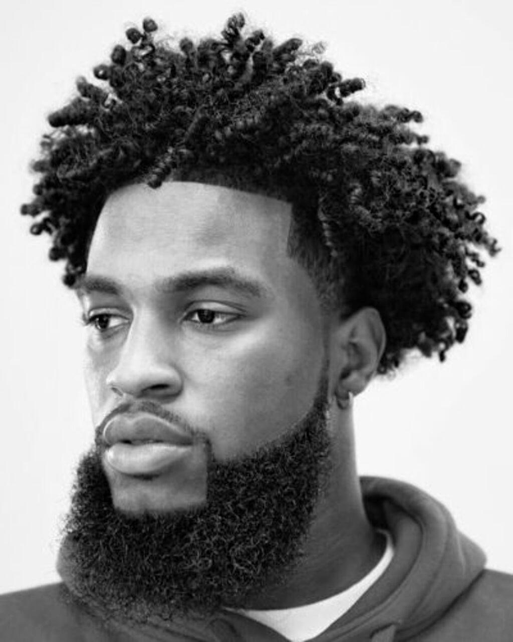 Two Strand Twist Dreads: Coolest Dreadlock Hairstyles In this year