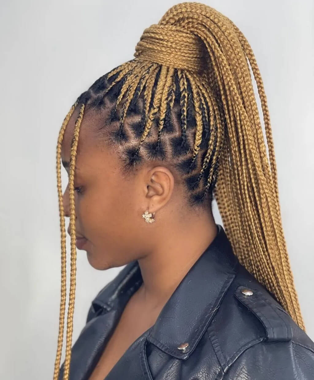 Knotless Braids Ideas