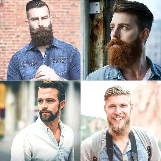 Short Full Beard short beard styles