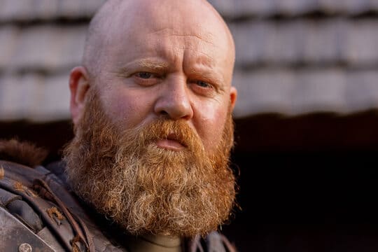 The Classic Full Beard long beard styles for men
