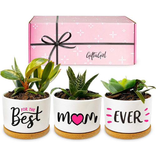 GIFTAGIRL Plants Pots