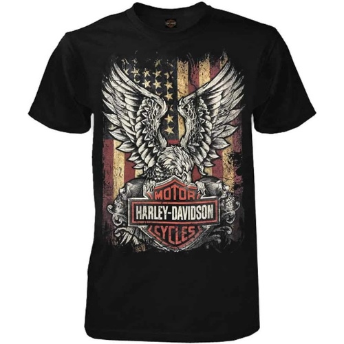 Harley-Davidson Men's Custom Crew Neck Tee